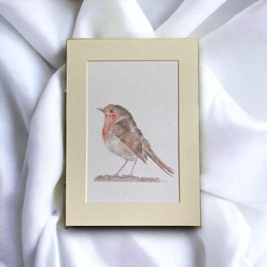 'Red Robin' British Wildlife Artwork Print