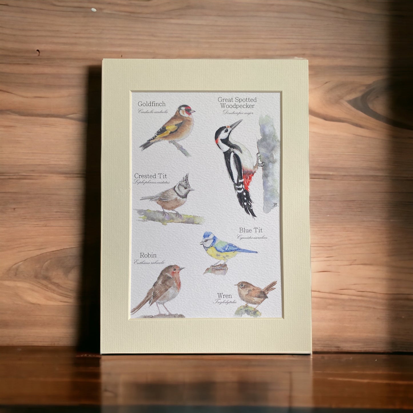 'British Birds' Wildlife Artwork Print