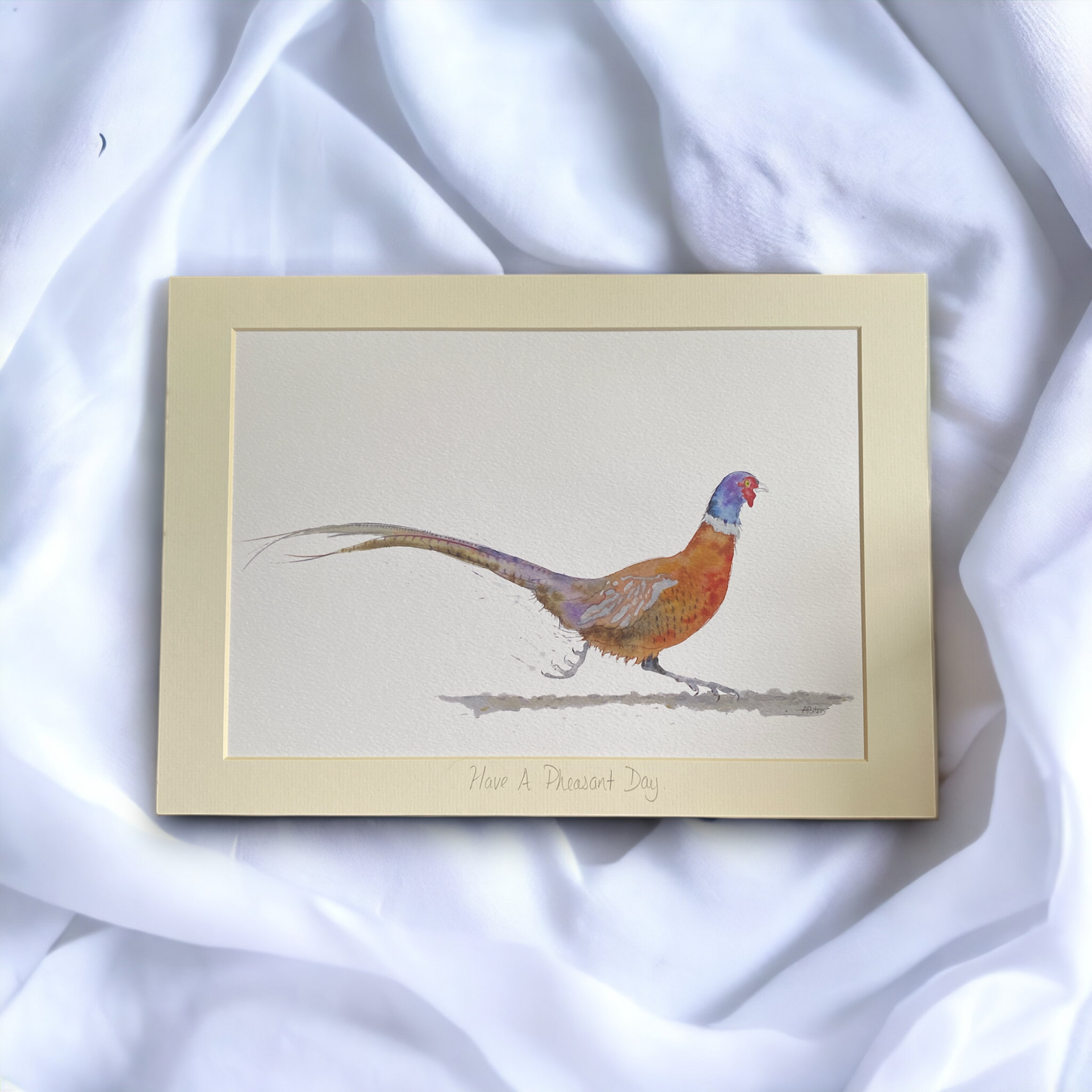 'Have a Pheasant Day' Limited Edition Artwork Print