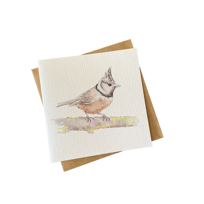 Crested Tit Greetings Card