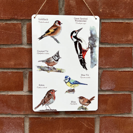 'British Birds' - Decorative Metal Wall Sign